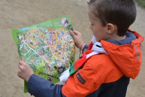 Child reading a map