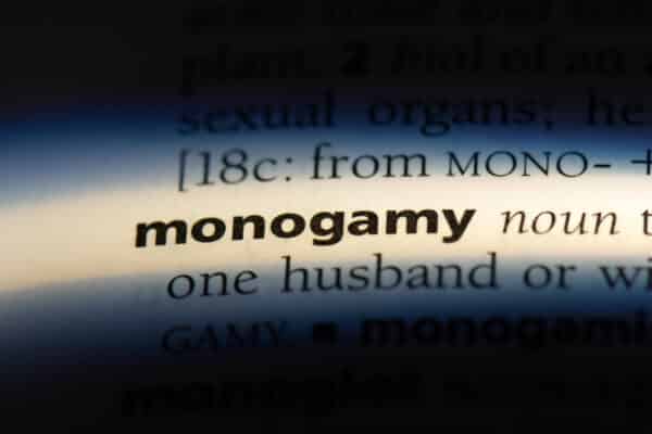 Monogamy definition in dictionary