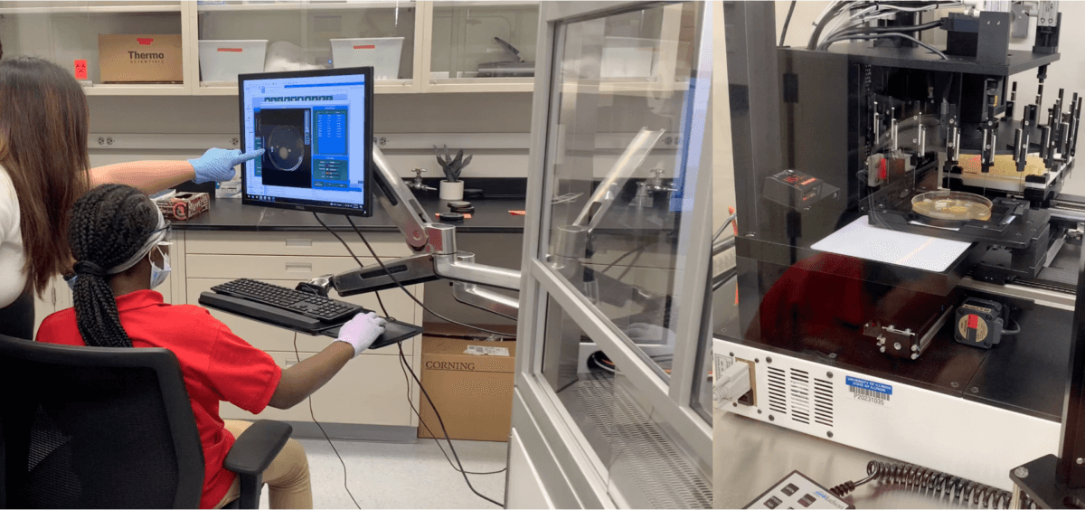 Through a partnership with a local university, a middle school student (seated) discovered a never-before-seen compound using specialized programmable equipment 